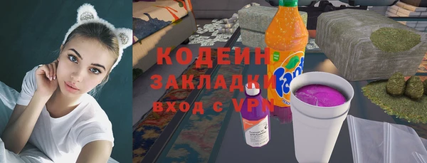 шишки Алексин