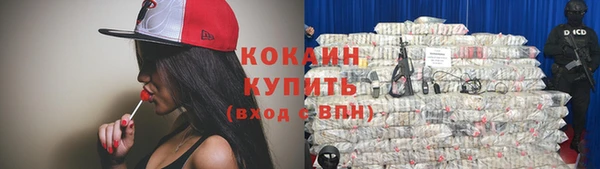 тгк Алзамай