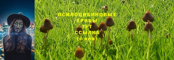 jwh Абаза