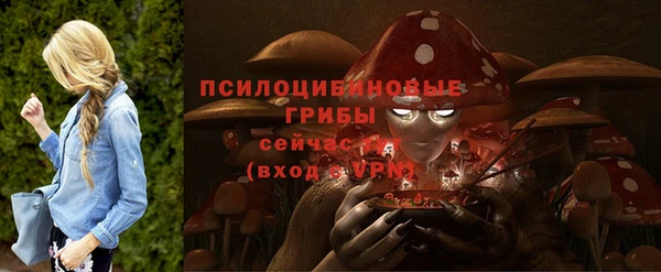 тгк Алзамай