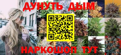 стаф Лесосибирск