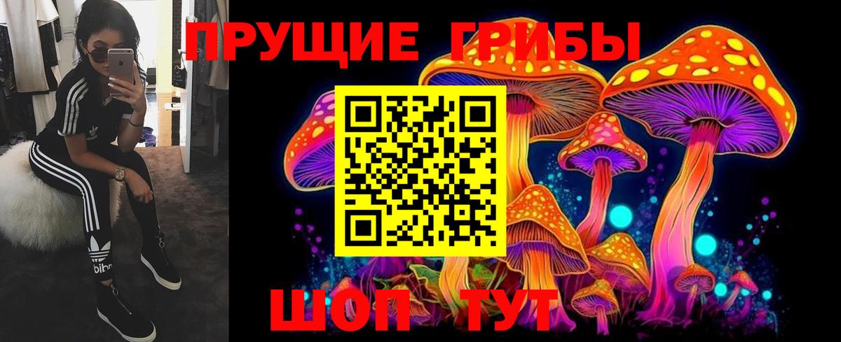 Псилоцибиновые грибы Psilocybine cubensis  Вход с VPN  Ипатово 